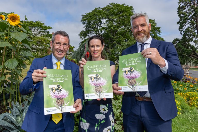 Ambitious new All-Ireland Pollinator Plan aims to create ‘pockets for nature every 200 metres’