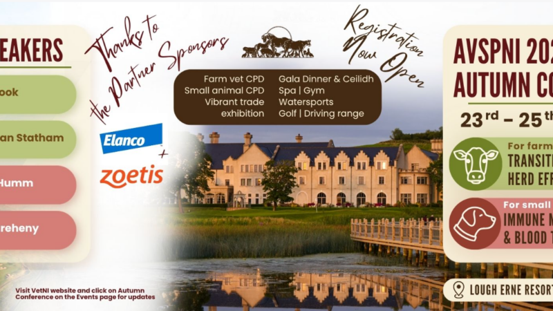 AVSPNI Autumn Conference Lough Erne Resort – 23-25th October