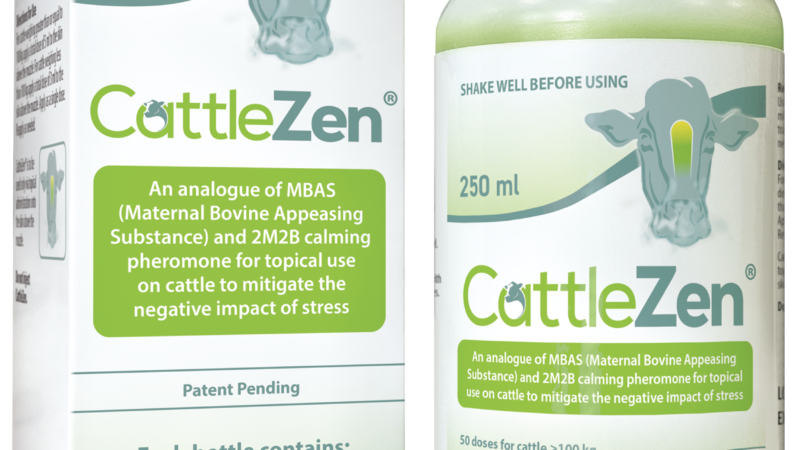 CattleZen® — a new approach to controlling stress in cattle