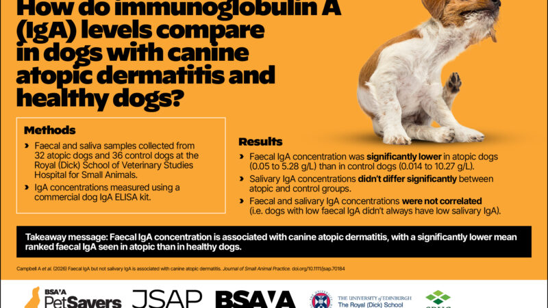 Lower faecal IgA linked to canine atopic dermatitis, study shows