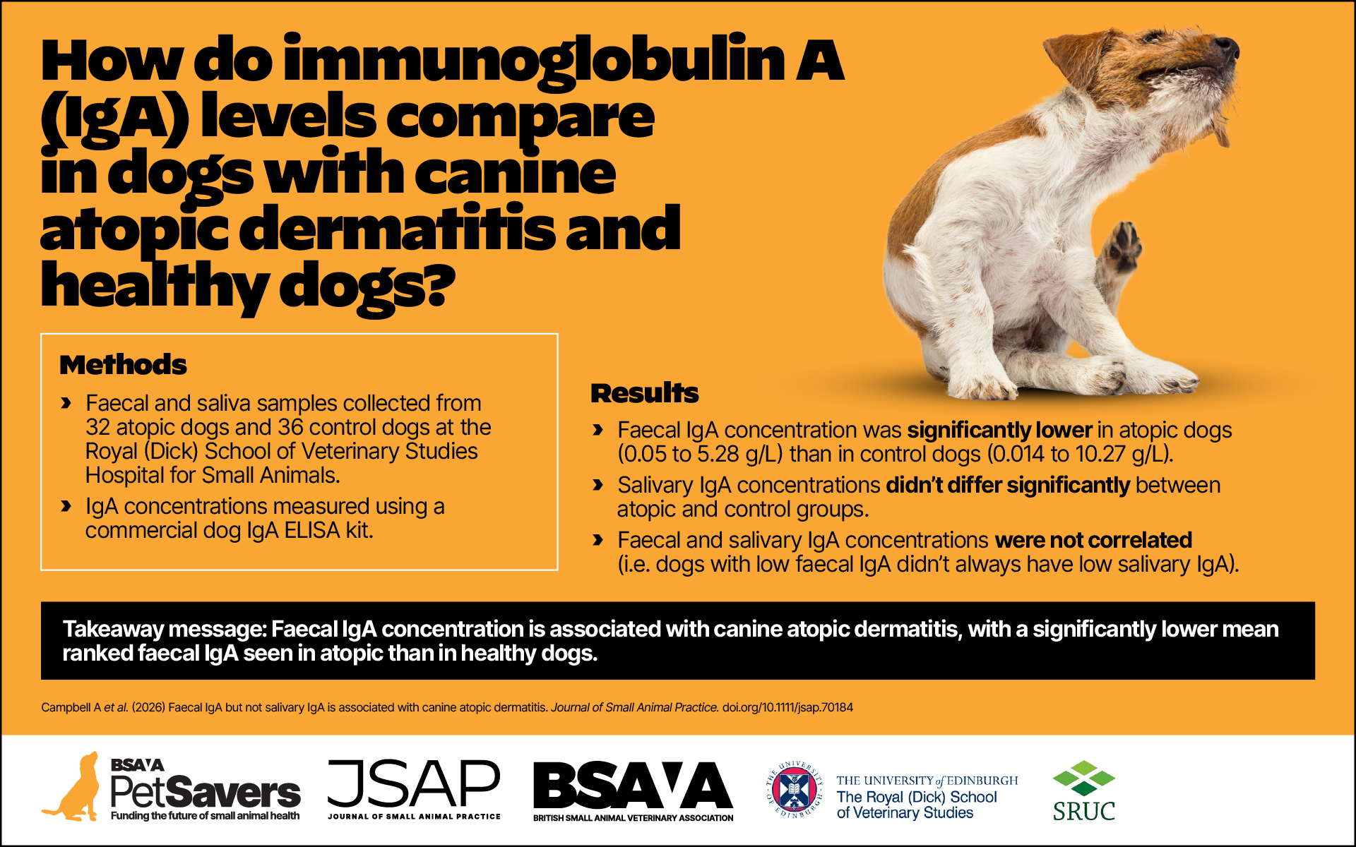 Lower faecal IgA linked to canine atopic dermatitis, study shows