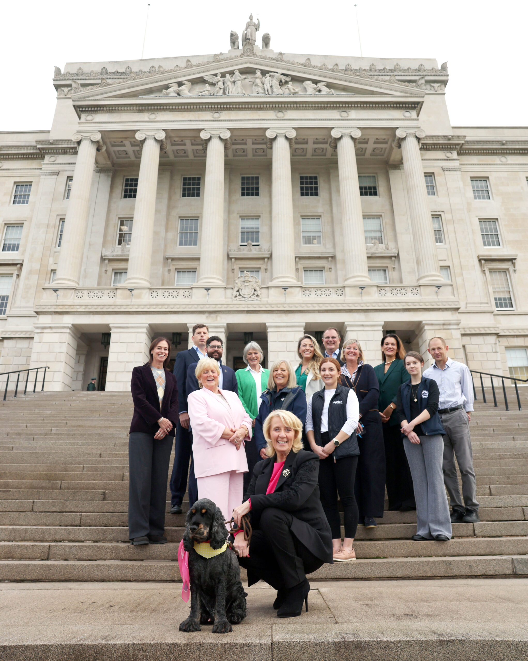 Causeway Coast Dog Rescue Calls for Stronger Veterinary Involvement in NI Animal Welfare Reform