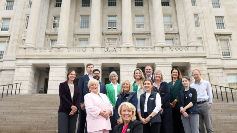 Causeway Coast Dog Rescue Calls for Stronger Veterinary Involvement in NI Animal Welfare Reform