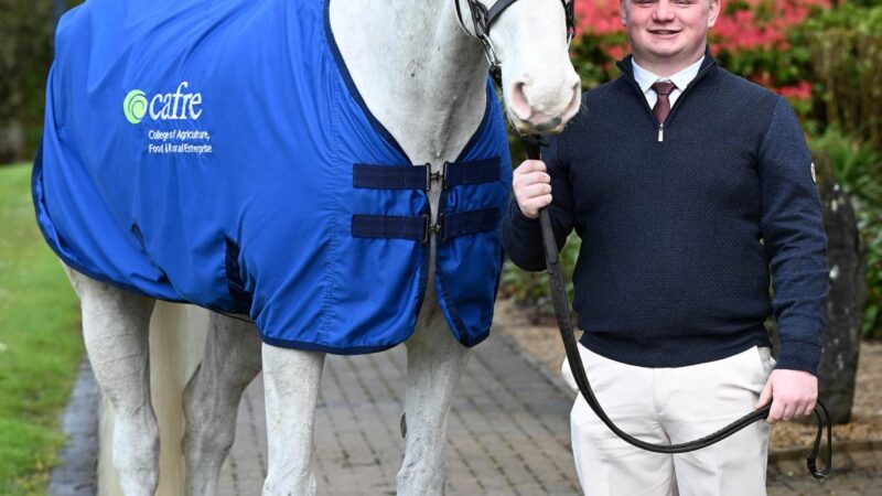 CAFRE graduate recognised among UK’s top equine student researchers